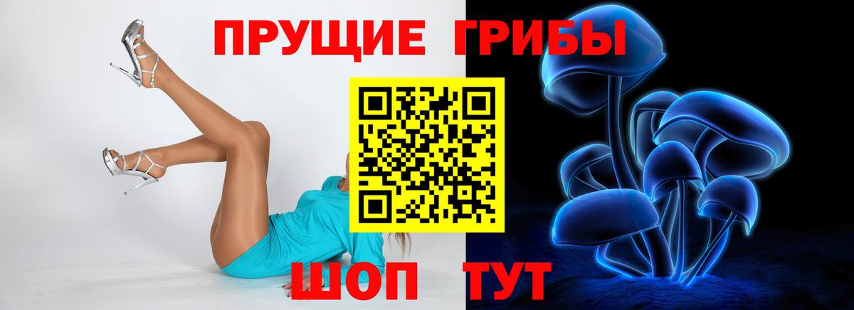 Горячий Ключ  продажа наркотиков  Вход с VPN  Галлюциногенные грибы мицелий 